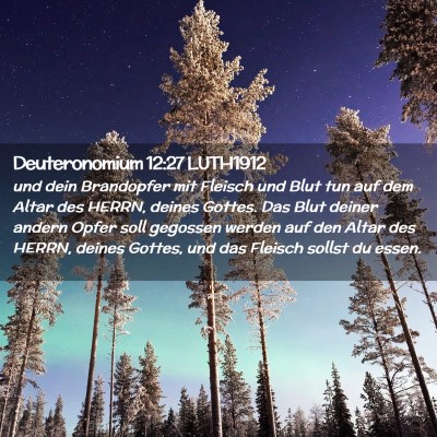 Picture 02 - Deuteronomium 12:27 LUTH1912 - und dein Brandopfer mit Fleisch und Blut tun auf - Bible Verse Picture