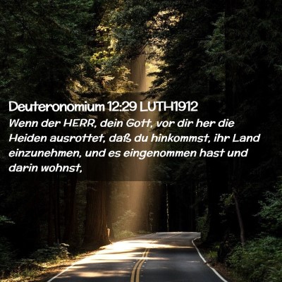 Picture 02 - Deuteronomium 12:29 LUTH1912 - Wenn der HERR, dein Gott, vor dir her die Heiden - Bible Verse Picture