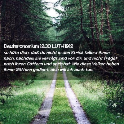 Picture 02 - Deuteronomium 12:30 LUTH1912 - so hüte dich, daß du nicht in den Strick - Bible Verse Picture