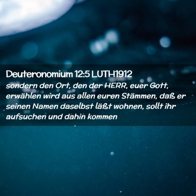 Picture 02 - Deuteronomium 12:5 LUTH1912 - sondern den Ort, den der HERR, euer Gott, - Bible Verse Picture