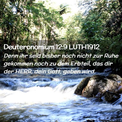 Picture 02 - Deuteronomium 12:9 LUTH1912 - Denn ihr seid bisher noch nicht zur Ruhe gekommen - Bible Verse Picture