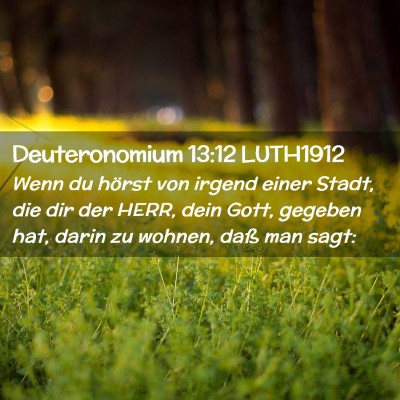 Picture 02 - Deuteronomium 13:12 LUTH1912 - Wenn du hörst von irgend einer Stadt, die dir - Bible Verse Picture