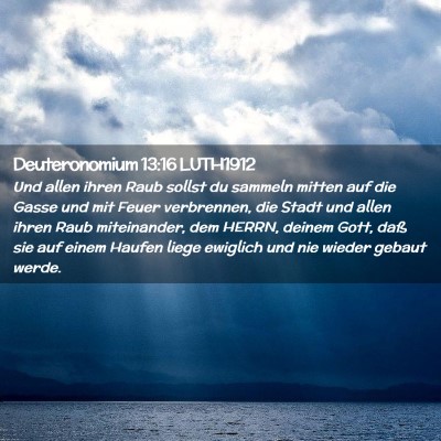 Picture 02 - Deuteronomium 13:16 LUTH1912 - Und allen ihren Raub sollst du sammeln mitten auf - Bible Verse Picture