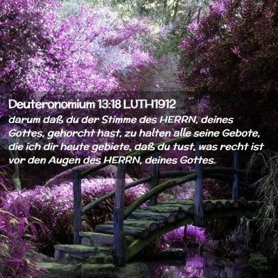 Picture 02 - Deuteronomium 13:18 LUTH1912 - darum daß du der Stimme des HERRN, deines - Bible Verse Picture