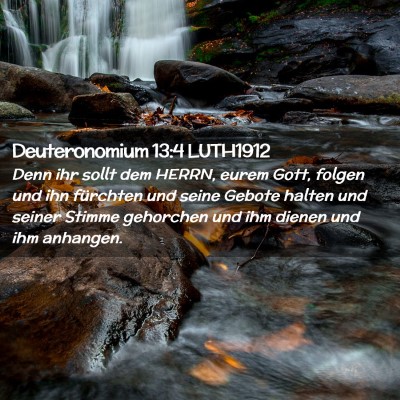 Picture 02 - Deuteronomium 13:4 LUTH1912 - Denn ihr sollt dem HERRN, eurem Gott, folgen und - Bible Verse Picture