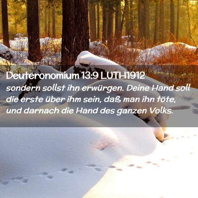 Picture 02 - Deuteronomium 13:9 LUTH1912 - sondern sollst ihn erwürgen. Deine Hand soll die - Bible Verse Picture