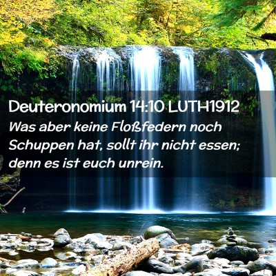 Picture 02 - Deuteronomium 14:10 LUTH1912 - Was aber keine Floßfedern noch Schuppen hat, - Bible Verse Picture
