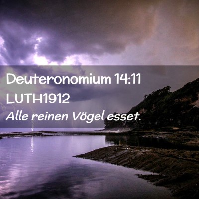 Picture 02 - Deuteronomium 14:11 LUTH1912 - Alle reinen Vögel - Bible Verse Picture