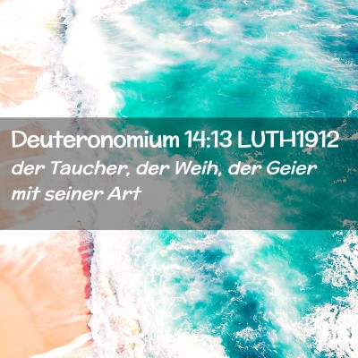Picture 02 - Deuteronomium 14:13 LUTH1912 - der Taucher, der Weih, der Geier mit seiner - Bible Verse Picture