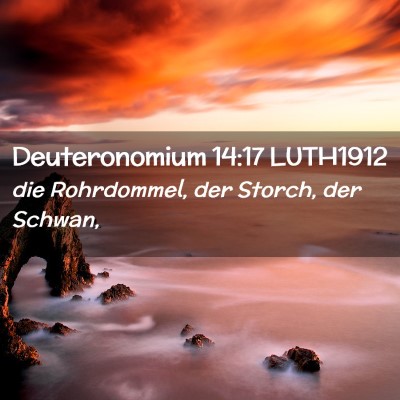 Picture 02 - Deuteronomium 14:17 LUTH1912 - die Rohrdommel, der Storch, der - Bible Verse Picture