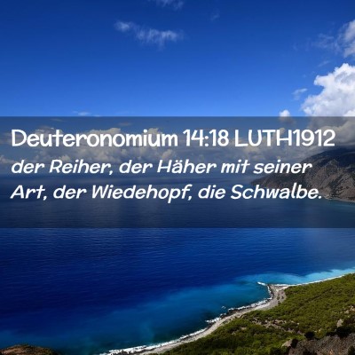 Picture 02 - Deuteronomium 14:18 LUTH1912 - der Reiher, der Häher mit seiner Art, der - Bible Verse Picture
