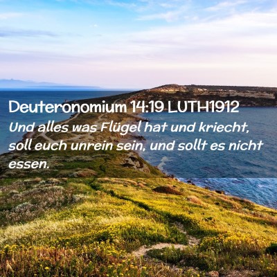 Picture 02 - Deuteronomium 14:19 LUTH1912 - Und alles was Flügel hat und kriecht, soll euch - Bible Verse Picture