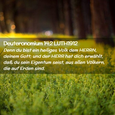 Picture 02 - Deuteronomium 14:2 LUTH1912 - Denn du bist ein heiliges Volk dem HERRN, deinem - Bible Verse Picture
