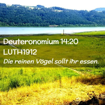 Picture 02 - Deuteronomium 14:20 LUTH1912 - Die reinen Vögel sollt ihr - Bible Verse Picture