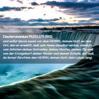 Picture 02 - Deuteronomium 14:23 LUTH1912 - und sollst davon essen vor dem HERRN, deinem - Bible Verse Picture