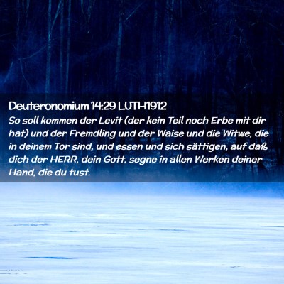 Picture 02 - Deuteronomium 14:29 LUTH1912 - So soll kommen der Levit (der kein Teil noch Erbe - Bible Verse Picture