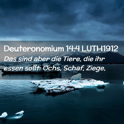Picture 02 - Deuteronomium 14:4 LUTH1912 - Das sind aber die Tiere, die ihr essen sollt: - Bible Verse Picture