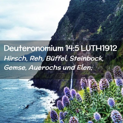 Picture 02 - Deuteronomium 14:5 LUTH1912 - Hirsch, Reh, Büffel, Steinbock, Gemse, Auerochs - Bible Verse Picture
