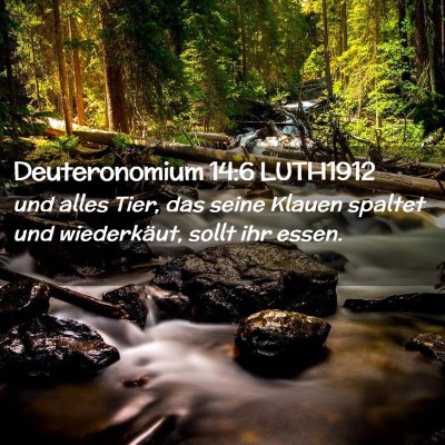 Picture 02 - Deuteronomium 14:6 LUTH1912 - und alles Tier, das seine Klauen spaltet und - Bible Verse Picture