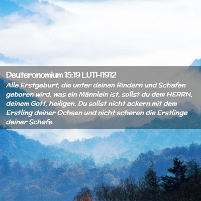 Picture 02 - Deuteronomium 15:19 LUTH1912 - Alle Erstgeburt, die unter deinen Rindern und - Bible Verse Picture