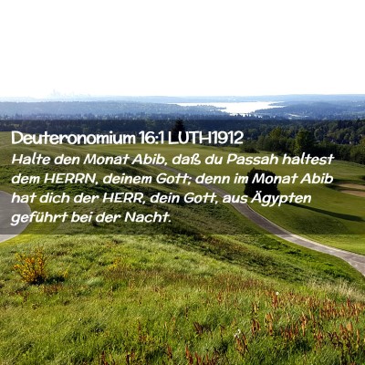 Picture 02 - Deuteronomium 16:1 LUTH1912 - Halte den Monat Abib, daß du Passah haltest dem - Bible Verse Picture