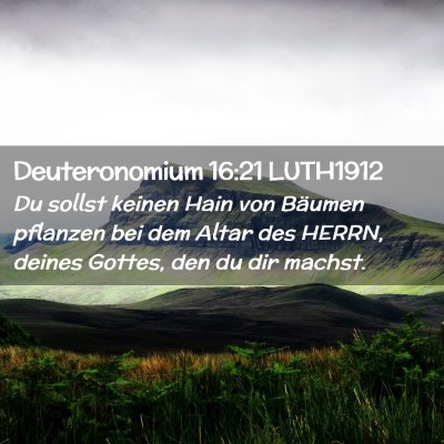 Picture 02 - Deuteronomium 16:21 LUTH1912 - Du sollst keinen Hain von Bäumen pflanzen bei - Bible Verse Picture