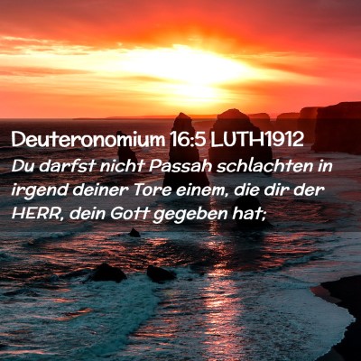 Picture 02 - Deuteronomium 16:5 LUTH1912 - Du darfst nicht Passah schlachten in irgend - Bible Verse Picture