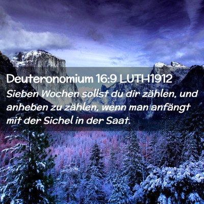 Picture 02 - Deuteronomium 16:9 LUTH1912 - Sieben Wochen sollst du dir zählen, und anheben - Bible Verse Picture
