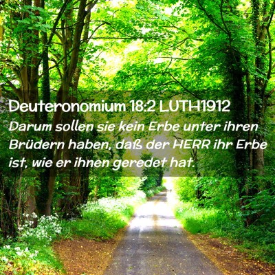 Picture 02 - Deuteronomium 18:2 LUTH1912 - Darum sollen sie kein Erbe unter ihren Brüdern - Bible Verse Picture