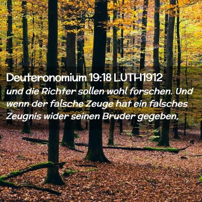 Picture 02 - Deuteronomium 19:18 LUTH1912 - und die Richter sollen wohl forschen. Und wenn - Bible Verse Picture