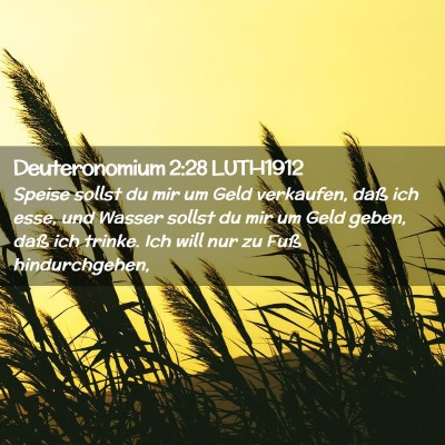 Picture 02 - Deuteronomium 2:28 LUTH1912 - Speise sollst du mir um Geld verkaufen, daß ich - Bible Verse Picture