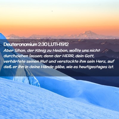 Picture 02 - Deuteronomium 2:30 LUTH1912 - Aber Sihon, der König zu Hesbon, wollte uns - Bible Verse Picture