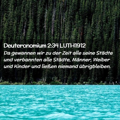 Picture 02 - Deuteronomium 2:34 LUTH1912 - Da gewannen wir zu der Zeit alle seine Städte - Bible Verse Picture