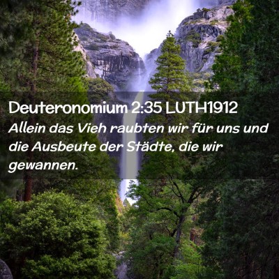 Picture 02 - Deuteronomium 2:35 LUTH1912 - Allein das Vieh raubten wir für uns und die - Bible Verse Picture