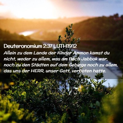 Picture 02 - Deuteronomium 2:37 LUTH1912 - Allein zu dem Lande der Kinder Ammon kamst du - Bible Verse Picture