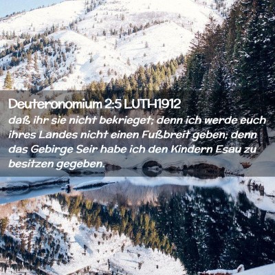 Picture 02 - Deuteronomium 2:5 LUTH1912 - daß ihr sie nicht bekrieget; denn ich werde euch - Bible Verse Picture