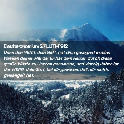 Picture 02 - Deuteronomium 2:7 LUTH1912 - Denn der HERR, dein Gott, hat dich gesegnet in - Bible Verse Picture