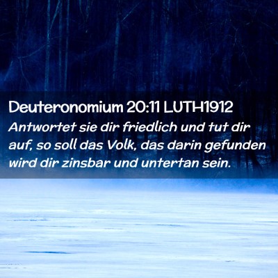 Picture 02 - Deuteronomium 20:11 LUTH1912 - Antwortet sie dir friedlich und tut dir auf, so - Bible Verse Picture