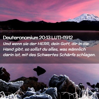 Picture 02 - Deuteronomium 20:13 LUTH1912 - Und wenn sie der HERR, dein Gott, dir in die Hand - Bible Verse Picture