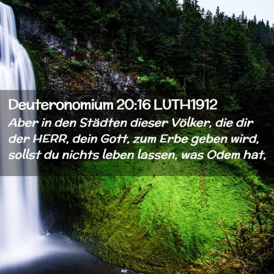 Picture 02 - Deuteronomium 20:16 LUTH1912 - Aber in den Städten dieser Völker, die dir der - Bible Verse Picture