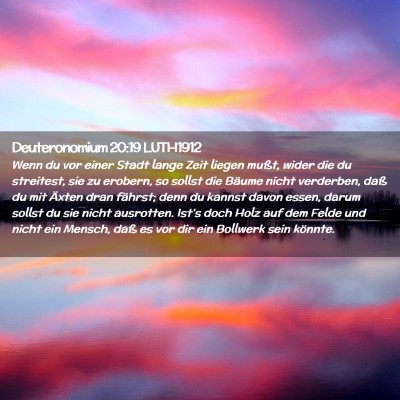 Picture 02 - Deuteronomium 20:19 LUTH1912 - Wenn du vor einer Stadt lange Zeit liegen mußt, - Bible Verse Picture