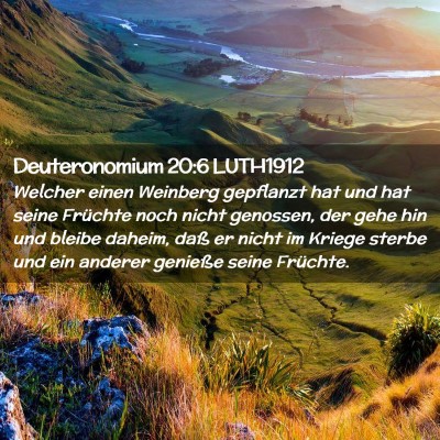 Picture 02 - Deuteronomium 20:6 LUTH1912 - Welcher einen Weinberg gepflanzt hat und hat - Bible Verse Picture