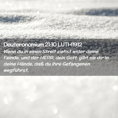 Picture 02 - Deuteronomium 21:10 LUTH1912 - Wenn du in einen Streit ziehst wider deine - Bible Verse Picture
