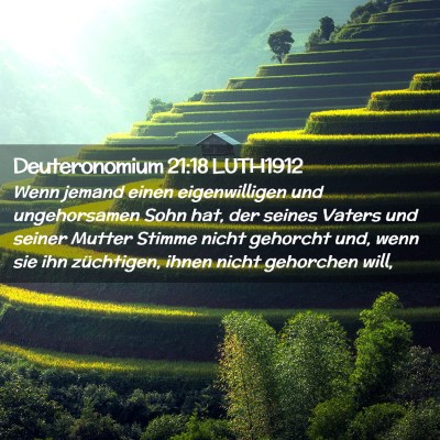 Picture 02 - Deuteronomium 21:18 LUTH1912 - Wenn jemand einen eigenwilligen und ungehorsamen - Bible Verse Picture