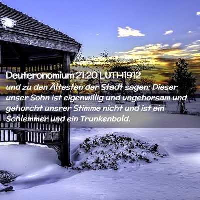 Picture 02 - Deuteronomium 21:20 LUTH1912 - und zu den Ältesten der Stadt sagen: Dieser - Bible Verse Picture