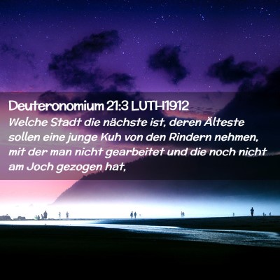 Picture 02 - Deuteronomium 21:3 LUTH1912 - Welche Stadt die nächste ist, deren Älteste - Bible Verse Picture