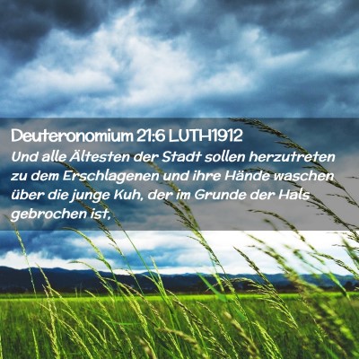 Picture 02 - Deuteronomium 21:6 LUTH1912 - Und alle Ältesten der Stadt sollen herzutreten - Bible Verse Picture