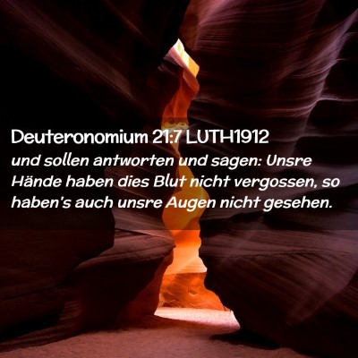 Picture 02 - Deuteronomium 21:7 LUTH1912 - und sollen antworten und sagen: Unsre Hände - Bible Verse Picture