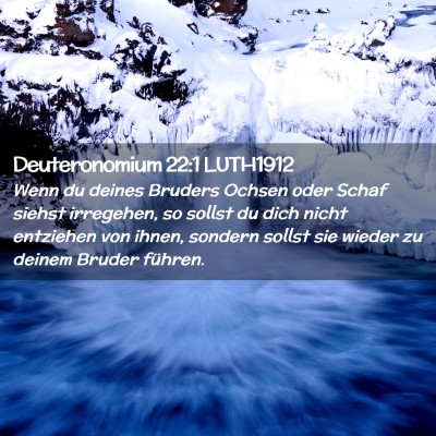 Picture 02 - Deuteronomium 22:1 LUTH1912 - Wenn du deines Bruders Ochsen oder Schaf siehst - Bible Verse Picture