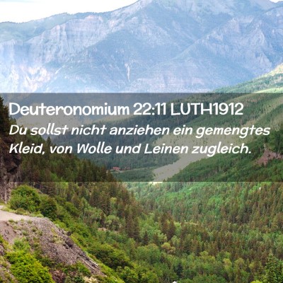 Picture 02 - Deuteronomium 22:11 LUTH1912 - Du sollst nicht anziehen ein gemengtes Kleid, von - Bible Verse Picture
